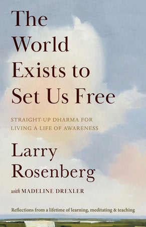 The World Exists to Set Us Free Paperback by Larry Rosenberg with Madeline Drexler