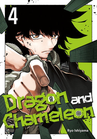 Dragon and Chameleon 04 Paperback by Ryo Ishiyama