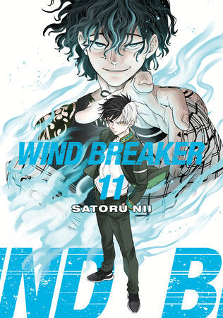 WIND BREAKER 11 Paperback by Satoru Nii