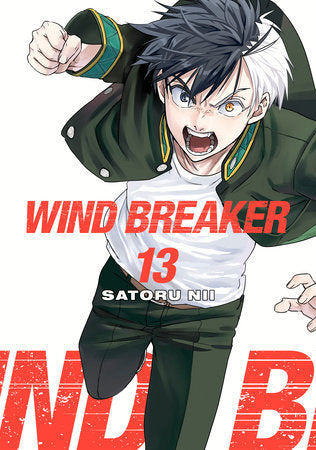 WIND BREAKER 13 Paperback by Satoru Nii