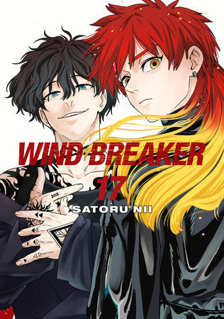WIND BREAKER 17 Paperback by Satoru Nii
