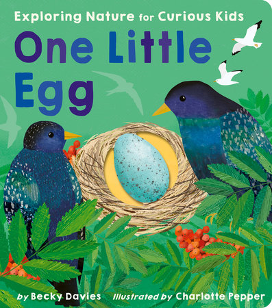 One Little Egg Board Book by Becky Davies; illustrated by Charlotte Pepper