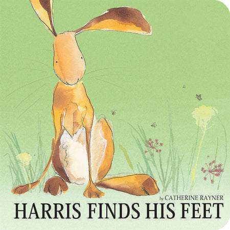 Harris Finds His Feet Board Book by Catherine Rayner; illustrated by Catherine Rayner