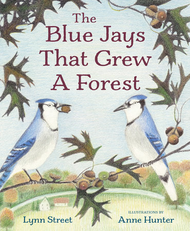 The Blue Jays That Grew a Forest Hardcover by Lynn Street; illustrated by Anne Hunter