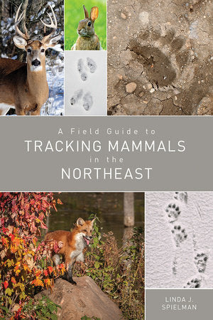A Field Guide to Tracking Mammals in the Northeast Paperback by Linda Jinda J Spielman
