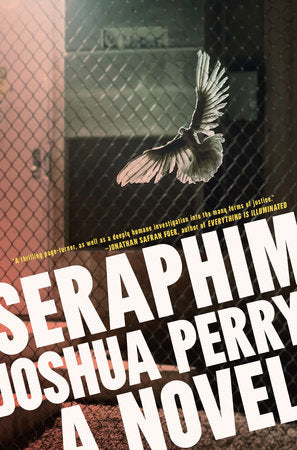 Seraphim Paperback by Joshua Perry