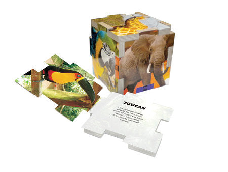 Cube Book Board Book by Jessica Bruin