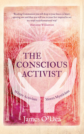 The Conscious Activist Paperback by James O'Dea