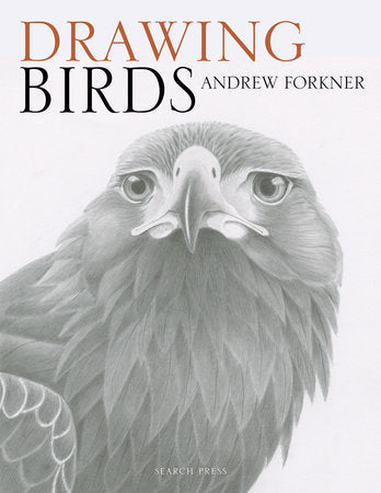 Drawing Birds Paperback by Andrew Forkner