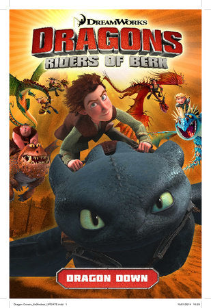 Dragons Riders of Berk: Dragon Down Paperback by Simon Furman