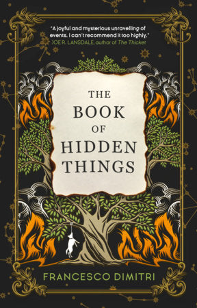 The Book of Hidden Things Paperback by Francesco Dimitri