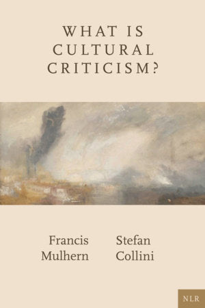 What Is Cultural Criticism? Paperback by Francis Mulhern and Stefan Collini