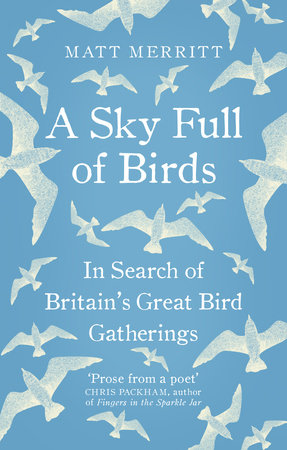 A Sky Full of Birds Paperback by Matt Merritt