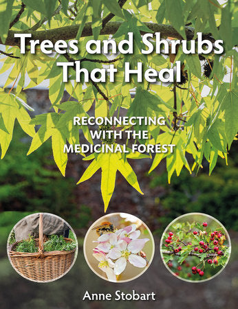 Trees and Shrubs that Heal Paperback by Anne Stobart