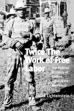 Twice the Work of Free Labor Paperback by Alex Lichtenstein