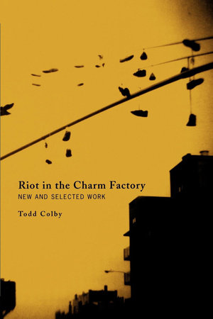 Riot in the Charm Factory Paperback by Todd Colby