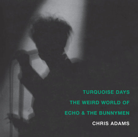 Turquoise Days Paperback by Chris Adams