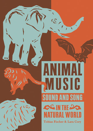 Animal Music Paperback by edited by Tobias Fischer and Lara Cory