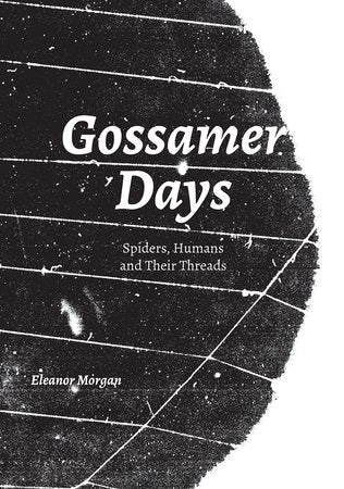 Gossamer Days Paperback by Eleanor Morgan