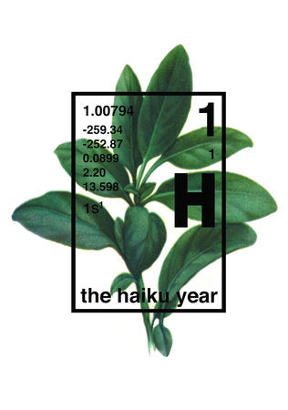 The Haiku Year Paperback by Michael Stipe