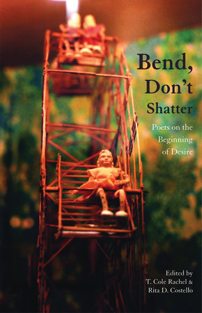 Bend, Don't Shatter Paperback by T. Cole Rachel