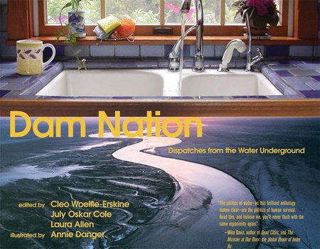 Dam Nation Paperback by Cleo Woelfle-Erskine