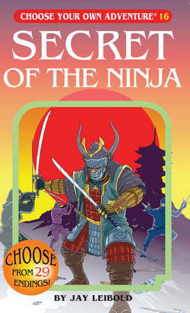 Secret Of The Ninja Paperback by Jay Leibold