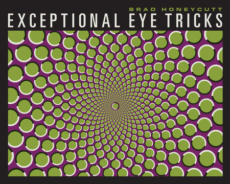 Exceptional Eye Tricks Paperback by Brad Honeycutt (Author)