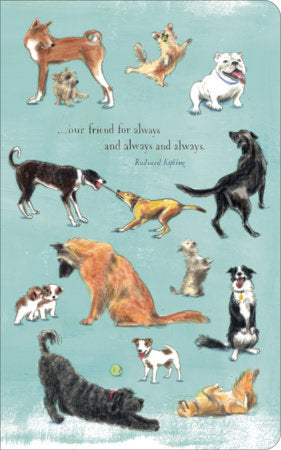 Write Now Journal: ". . . our friend for always and always and always" -Rudyard Kipling Paperback by Compendium