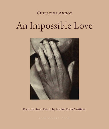 An Impossible Love Paperback by Christine Angot