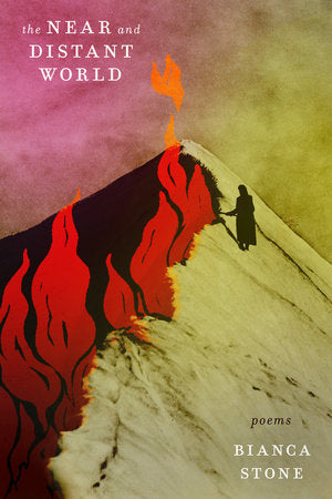 The Near and Distant World Paperback by Bianca Stone