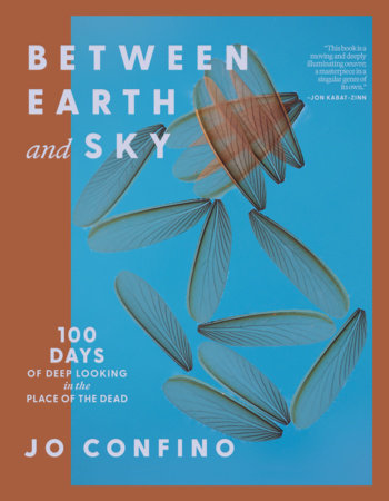 Between Earth and Sky Paperback by Jo Confino