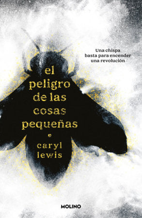 El peligro de las cosas pequeñas / The Danger of Small Things Paperback by Caryl Lewis