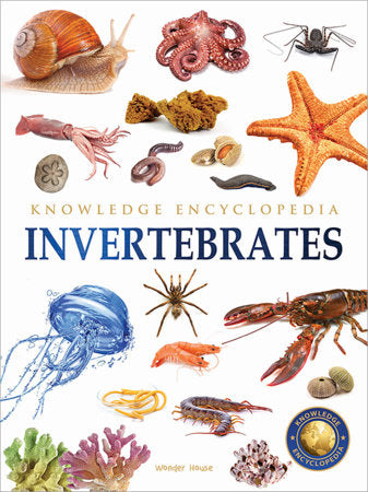 Animals - Invertebrates : Knowledge Encyclopedia For Children Paperback by Wonder House Books