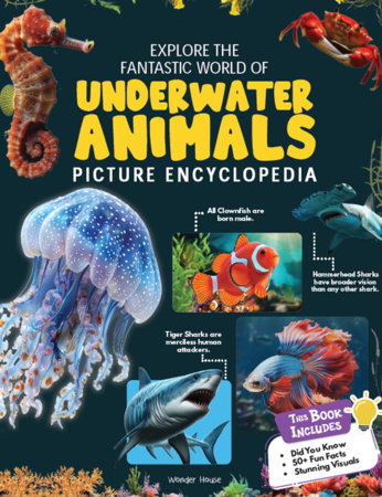 Explore Fantastic World of Underwater Animals Picture Encyclopedia Paperback by Wonder House Books