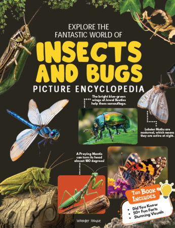Explore Fantastic World of Insects And Bugs Picture Encyclopedia Paperback by Wonder House Books