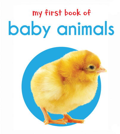 My First Book of Baby Animals: First Board Book Board Book by Wonder House Books