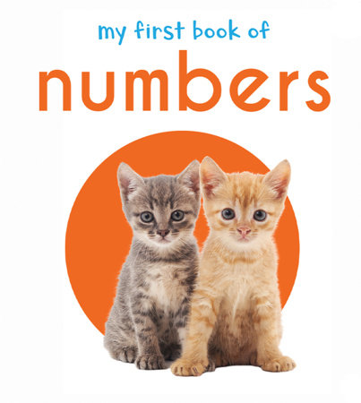 My First Book of Numbers: First Board Book Board Book by Wonder House Books