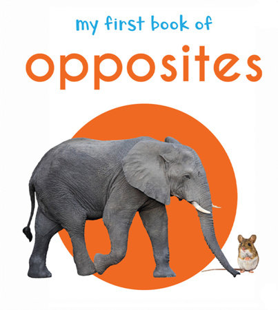 My First Book of Opposites: First Board Book Board Book by Wonder House Books