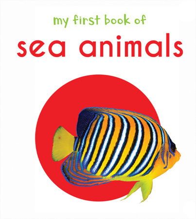My First Book of Sea Animals: First Board Book Board Book by Wonder House Books