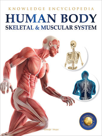 Human Body - Skeletal And Muscular System: Knowledge Encyclopedia For Children Paperback by Wonder House Books