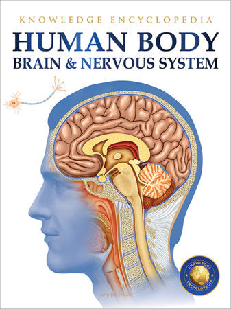 Human Body - Brain And Nervous System: Knowledge Encyclopedia For Children Paperback by Wonder House Books
