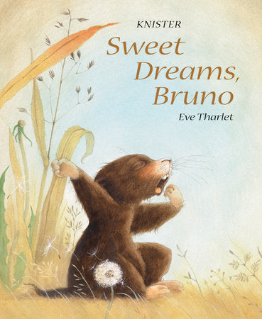 Sweet Dreams, Bruno Hardcover by Knister, illustrated by Eve Tharlet