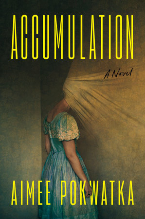 Accumulation Hardcover by Aimee Pokwatka
