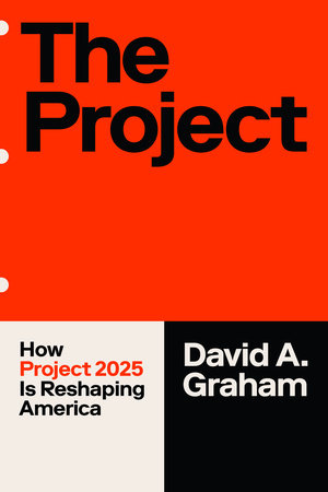The Project Paperback by David A. Graham
