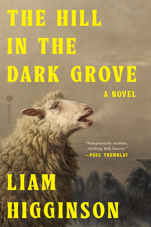 The Hill in the Dark Grove Hardcover by Liam Higginson
