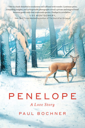 Penelope Paperback by Paul Bochner