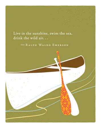 Positively Green Greeting Cards: Birthday - Live in the sunshine (Pack of 6) Merchandise by Compendium