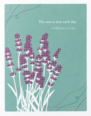 Positively Green Greeting Cards: Get Well - The sun is new each day (Pack of 6) Merchandise by Compendium