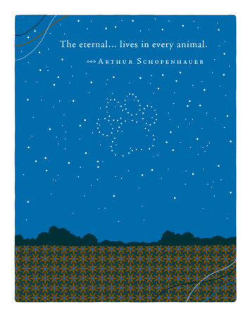 Positively Green Greeting Cards: Pet Sympathy - The eternal lives in every animal (Pack of 6) Merchandise by Compendium